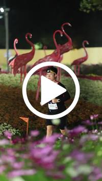 BIB:  <button type="button" onclick="openModal(27589904)" class="btn btn-primary btn-sm float-right" data-toggle="modal" data-target=".modal-high-quality">
                <i class="fa fa-download"></i> Download
                </button>